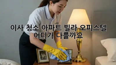 이사 청소: 아파트, 빌라, 오피스텔, 어디가 다를까요?